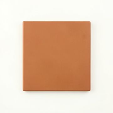 Moss Crossing Uninstalled Square Decorative Tile - Terracotta (synthetic illustration; no displayed measurements)