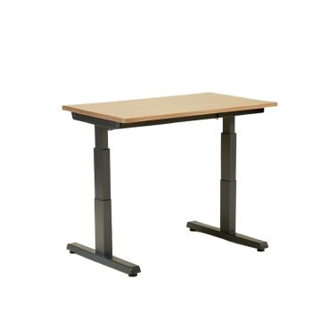 Doreatha Height Adjustable Standing Desk