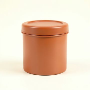 Linden Branch Storage Canister With Lid - Terracotta (synthetic illustration; no displayed measurements)
