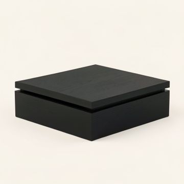 Wren Branch Desktop Monitor Riser - Black (synthetic illustration; no displayed measurements)