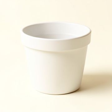 Anycia Self-Watering Plastic Pot Planter (synthetic illustration; no displayed measurements)