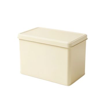 Shore Branch Closed Outdoor Storage Box - Ivory (synthetic illustration; no displayed measurements)