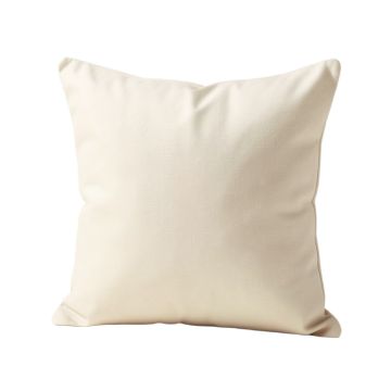 Invigorating Inspire Decorative Square Pillow Cover & Insert