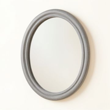 Wren Branch Framed Wall Mirror - Gray (synthetic illustration; no displayed measurements)