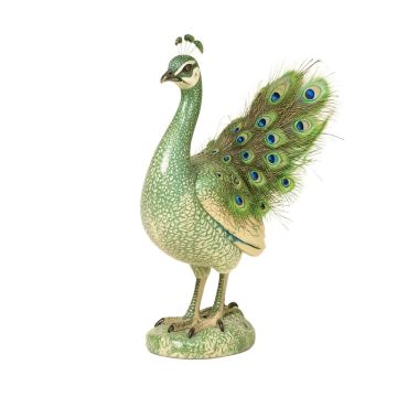 Peacock Special Patina