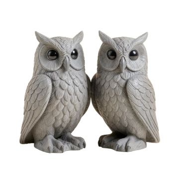 2 Piece Ogling Outdoor Owl Garden Statue Set