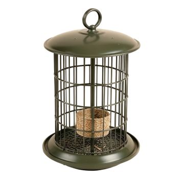 Forever 3 Quart Sunflower Nyjer/Thistle Feeder