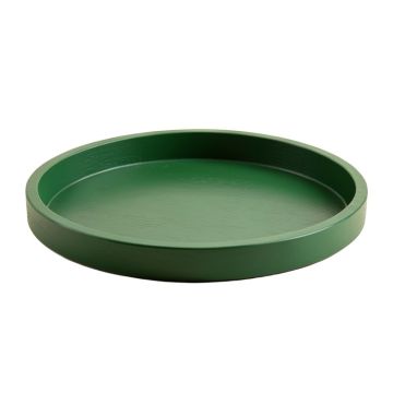 Lake Branch Serving Tray - Green (synthetic illustration; no displayed measurements)