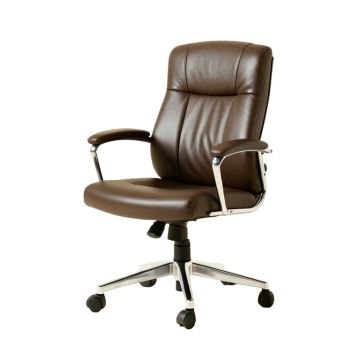 Ascutney Ergonomic Office Chair (synthetic illustration; no displayed measurements)