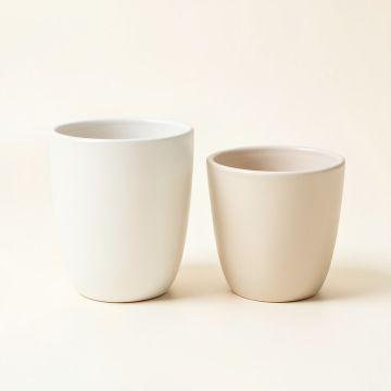 Jenneifer 2 Piece Ceramic Pot Planter Set (synthetic illustration; no displayed measurements)