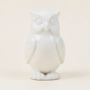 Wise Owl Decorative Figurine (synthetic illustration; no displayed measurements)