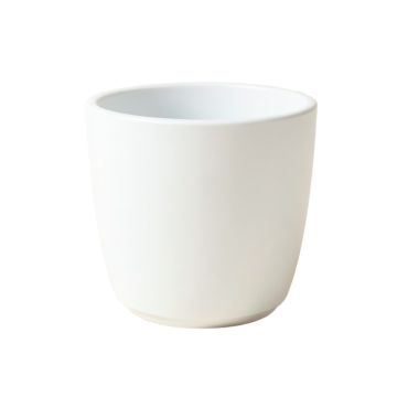 Plastic Wall Planter