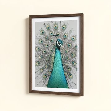 Peacock Framed Graphic Art (synthetic illustration; no displayed measurements)