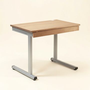 Soule Desk (synthetic illustration; no displayed measurements)