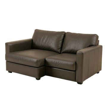 Twin Convertible Sofa