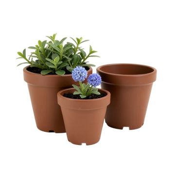 Trym 3 - Piece Water Hyacinth , Steel , And Plastic Pot Planter Set