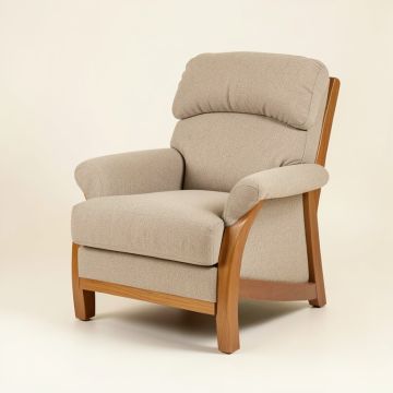 Avariella 34.6 '' Wide Power Lift Assist Standard Recliner (synthetic illustration; no displayed measurements)