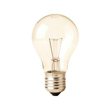 Lamp Bulb5