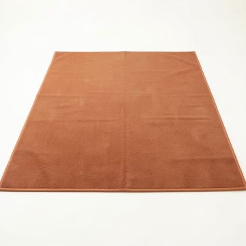 Hazel Branch Rectangular Outdoor Rug - Terracotta (synthetic illustration; no displayed measurements)