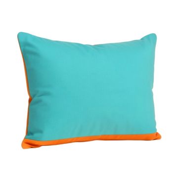 Agapius Rectangular Throw Pillow