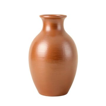 Fern Canyon Empty Decorative Vase - Terracotta