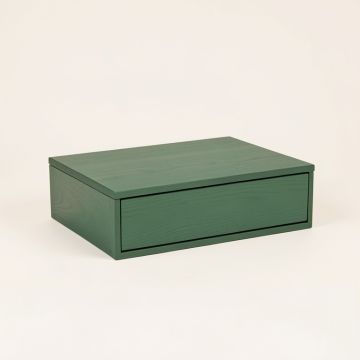 Juniper Bridge Desktop Monitor Riser - Green (synthetic illustration; no displayed measurements)