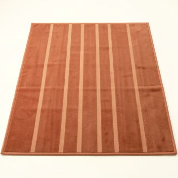 Briar Bluff Rectangular Outdoor Rug - Terracotta (synthetic illustration; no displayed measurements)