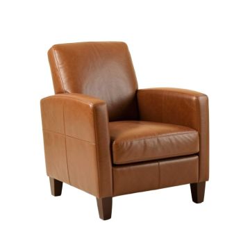 Ahupendra Faux Leather Arm Chair