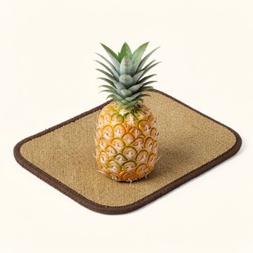 Keppler Pineapple 36 In . X 15 In . Non-Slip Outdoor Boot Tray (synthetic illustration; no displayed measurements)