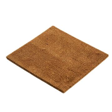 Gregg Cactus Welcome 29 In . X 17 In . Non-Slip Outdoor Door Mat