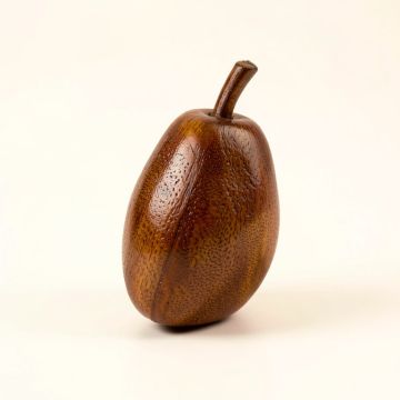Mango (synthetic illustration; no displayed measurements)