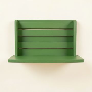 Olive Canyon Wall-Mounted Entryway Organizer Shelf - Green (synthetic illustration; no displayed measurements)