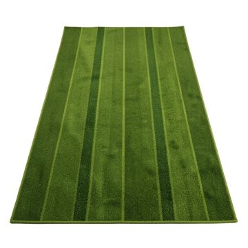 Summit Arc Rectangular Area Rug - Green