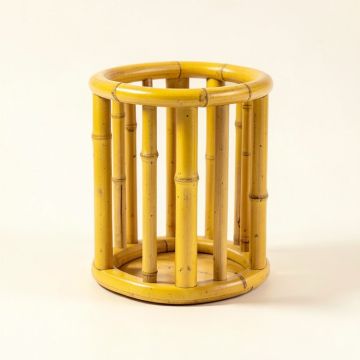 Donnae Plant Stand (synthetic illustration; no displayed measurements)