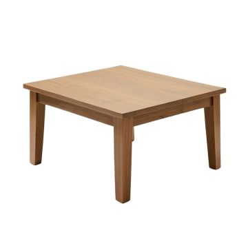 Lanita Coffee Table (synthetic illustration; no displayed measurements)