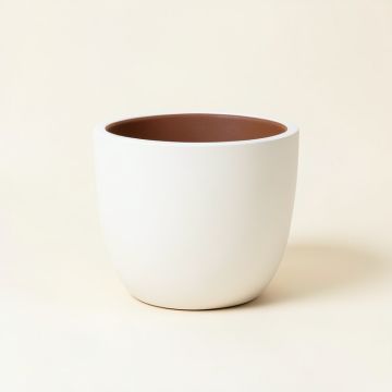 Zurique Resin Pot Planter (synthetic illustration; no displayed measurements)