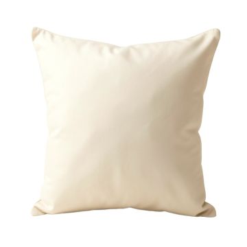 Square Throw Pillow Cover And Insert