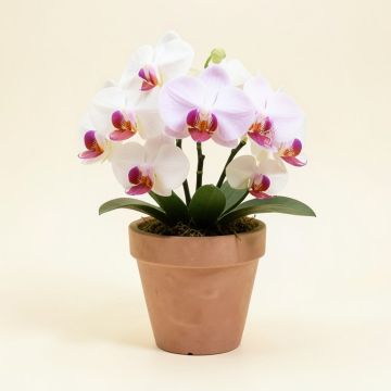 Artificial Orchids Floral Arrangement In Planter (synthetic illustration; no displayed measurements)