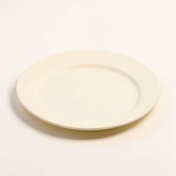 Derell 8.5 '' Melamine Salad Plate (synthetic illustration; no displayed measurements)