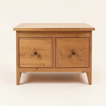 Doynton Solid Wood 2 Drawer End Table (synthetic illustration; no displayed measurements)