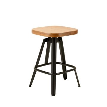 Bryana Swivel Solid Wood Adjustable Height Bar Stool (synthetic illustration; no displayed measurements)
