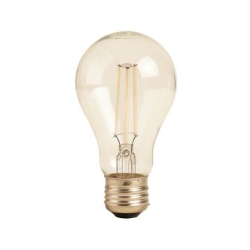 Antique Incandescent Light Bulb