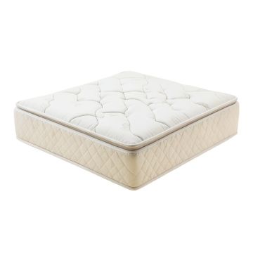 Serta Perfect Sleeper 11 '' Elkins Ii Plush Innerspring Mattress