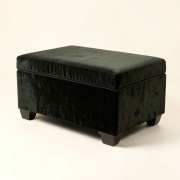 Carmelita Ottoman With Storage (synthetic illustration; no displayed measurements)