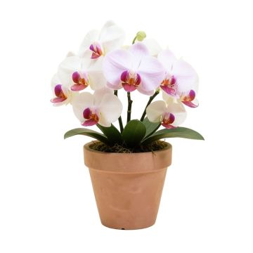 Artificial Orchids Floral Arrangement In Planter