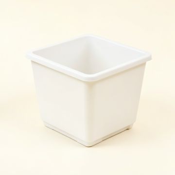 Spruce Bridge Empty Planter - White (synthetic illustration; no displayed measurements)