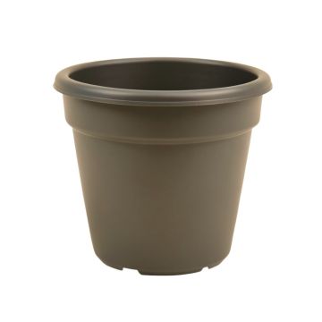 Cordeiro Self-Watering Polypropylene Pot Planter
