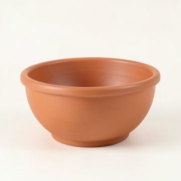 Cliff Branch Empty Planter - Terracotta (synthetic illustration; no displayed measurements)