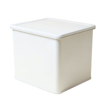 Aspen Branch Closed Outdoor Storage Box - White (synthetic illustration; no displayed measurements)