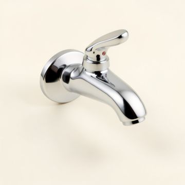 Toro Lever Wall Mounted Bathroom Faucet (synthetic illustration; no displayed measurements)